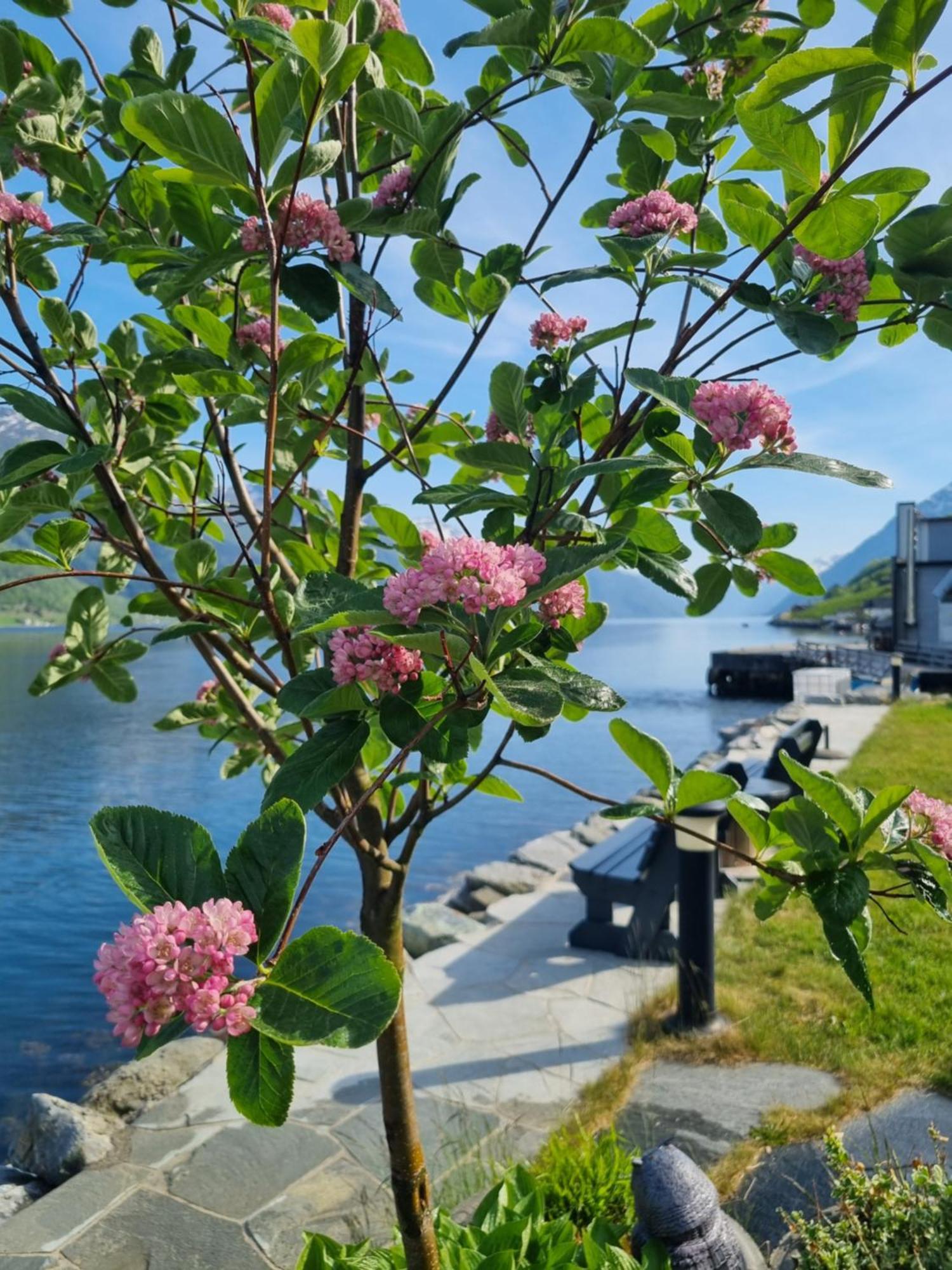 Aga Fjord Hardanger *