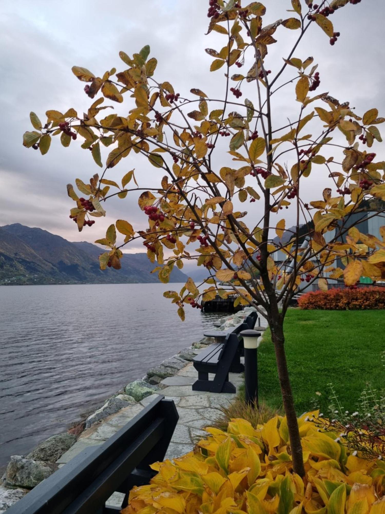 Aga Fjord Hardanger