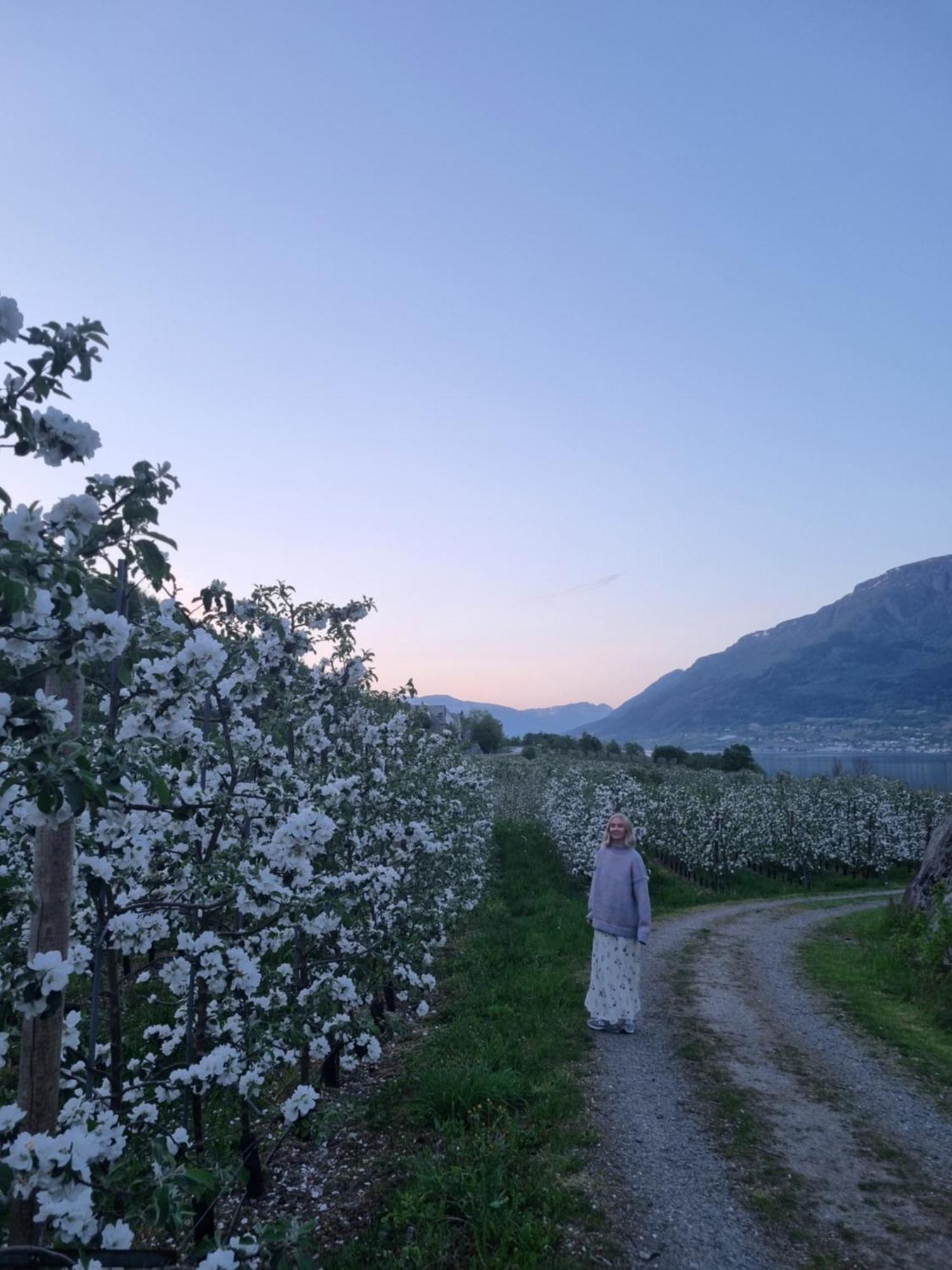 Aga Fjord Hardanger Appartement Nå